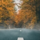 Fall and winter driving tips in Alpharetta, Georgia