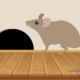 How to prevent rodent damage in your Alpharetta, GA home