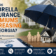 Statefarm Umbrella Price Increases in Georgia