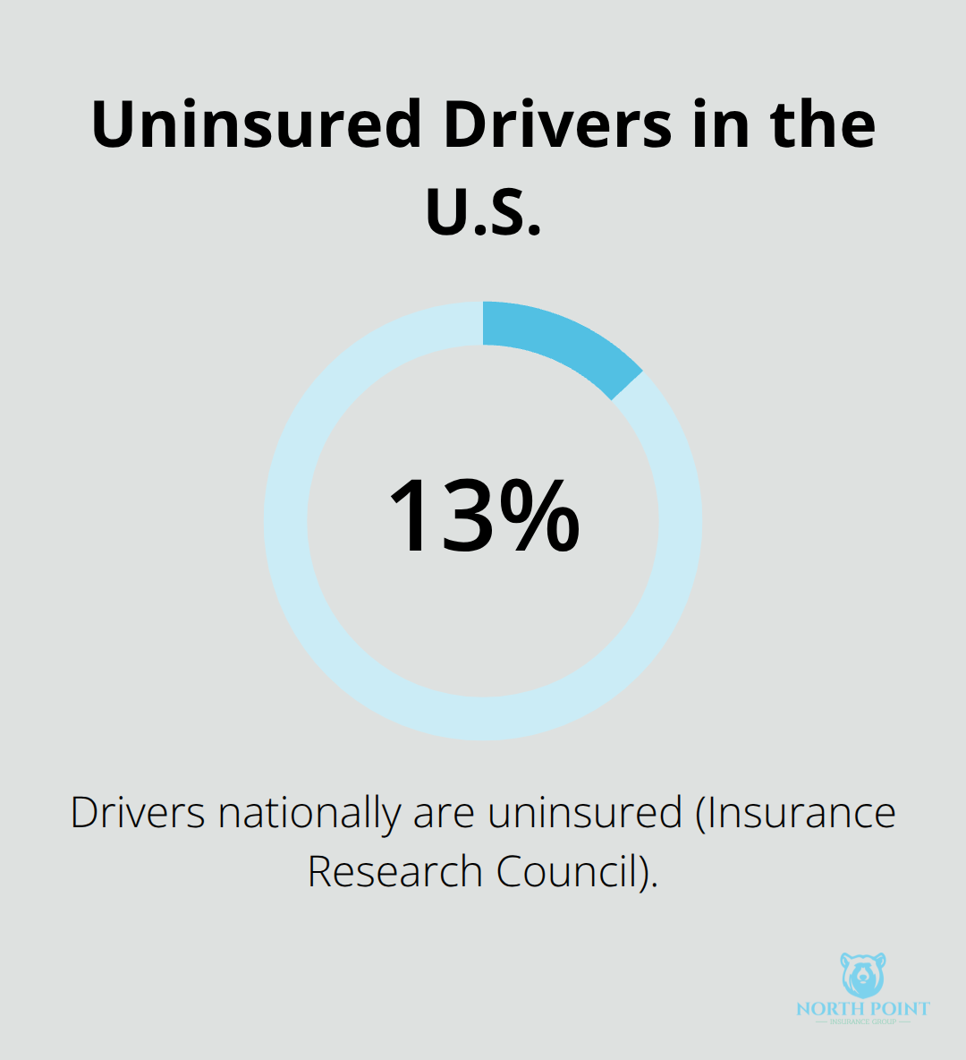Chart showing the share of uninsured drivers nationwide - Car insurance policy explanations